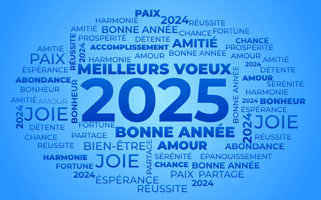 Meilleurs Vœux pour 2025